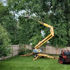 Lawn Grading and Leveling in Silt, CO